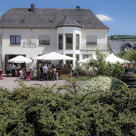 Gaestehaus Und Weingut Bernd Frieden Nittel Buitenkant foto
