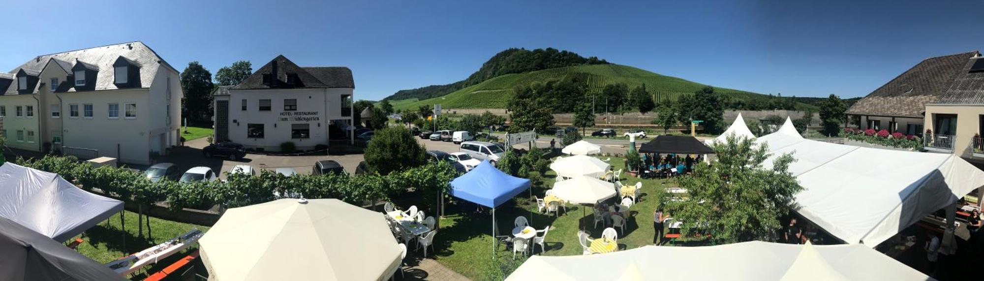 Gaestehaus Und Weingut Bernd Frieden Nittel Buitenkant foto
