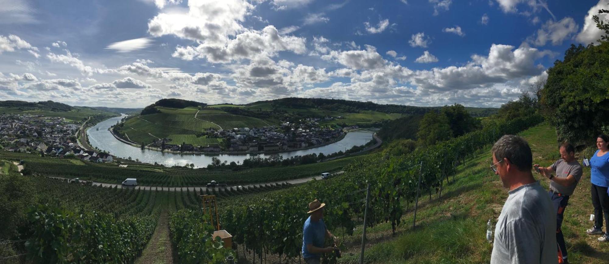 Gaestehaus Und Weingut Bernd Frieden Nittel Buitenkant foto