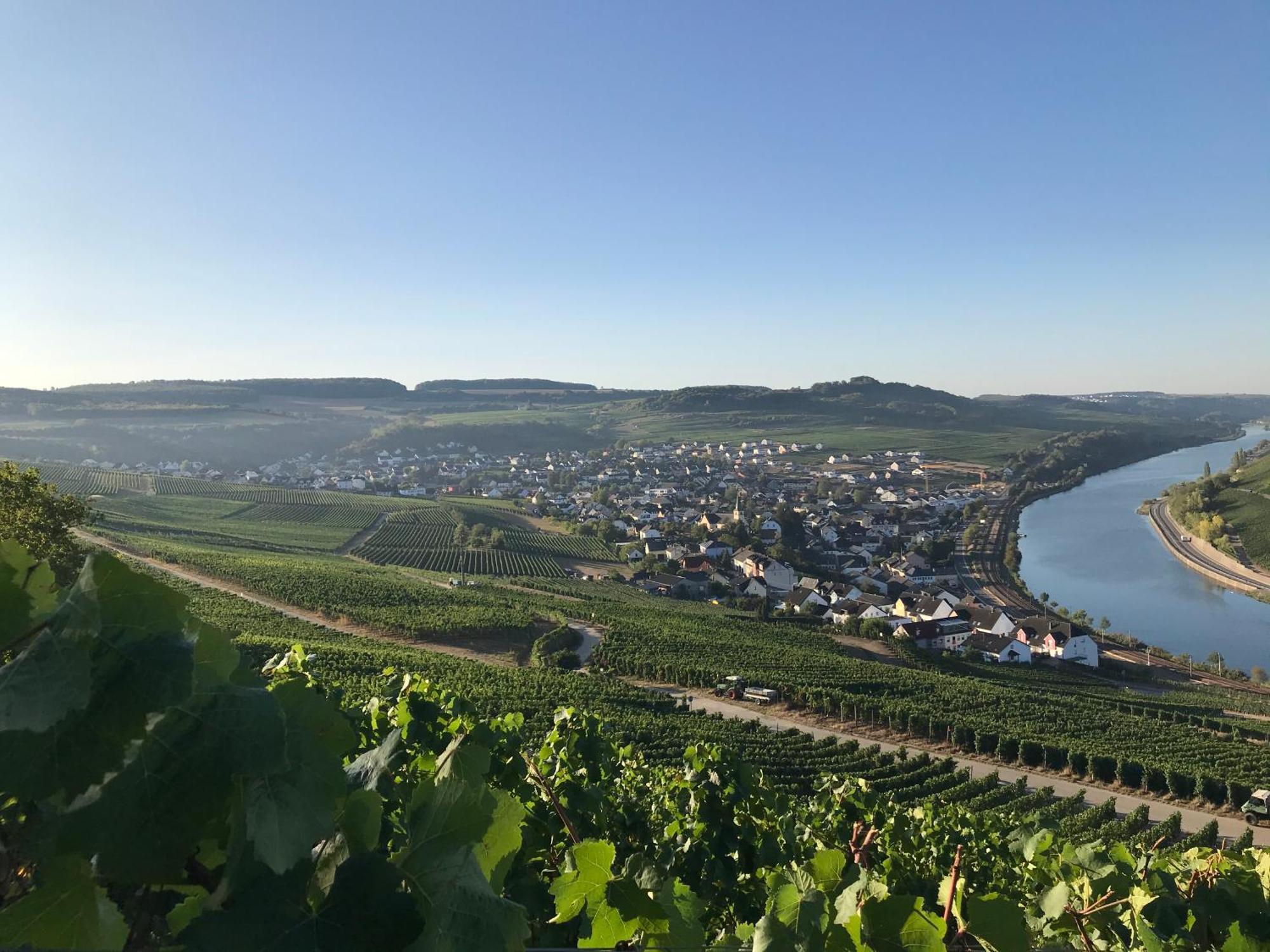 Gaestehaus Und Weingut Bernd Frieden Nittel Buitenkant foto