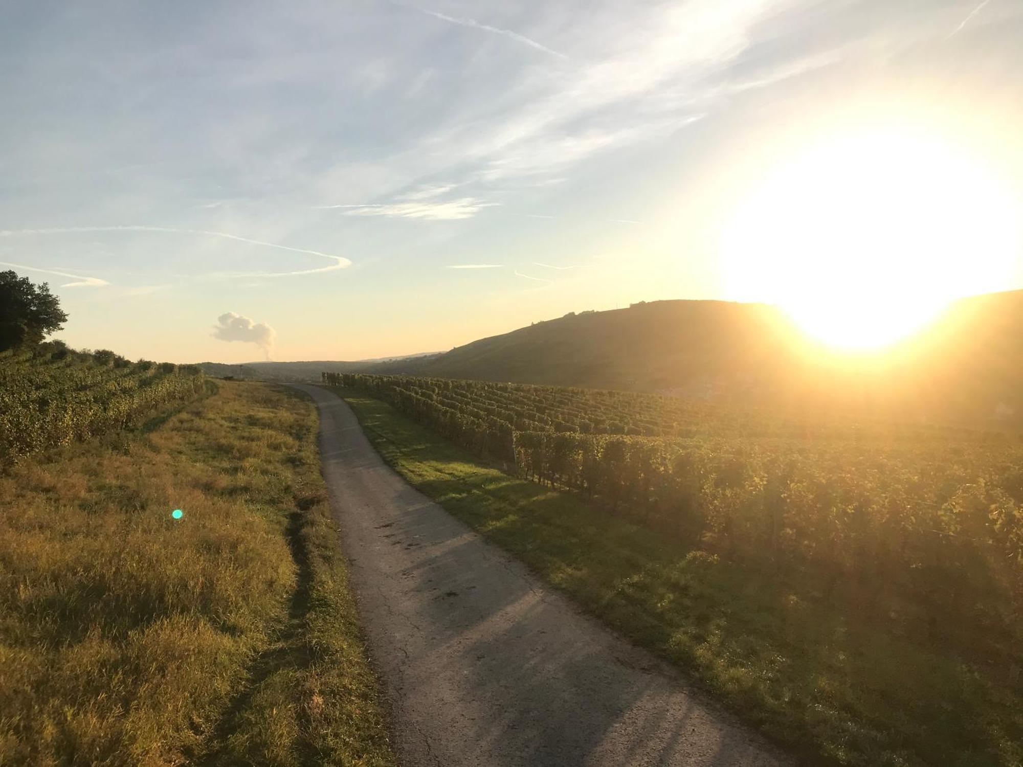 Gaestehaus Und Weingut Bernd Frieden Nittel Buitenkant foto