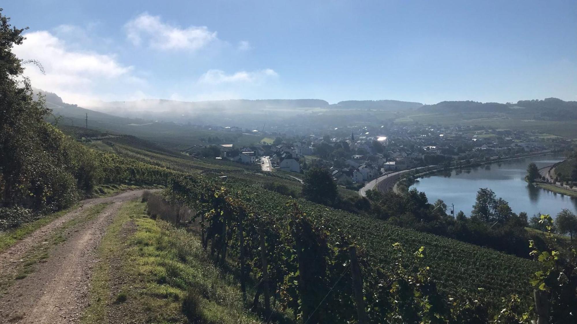 Gaestehaus Und Weingut Bernd Frieden Nittel Buitenkant foto