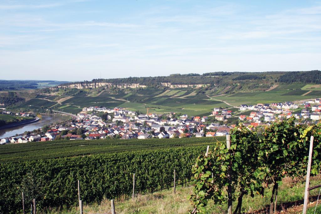 Gaestehaus Und Weingut Bernd Frieden Nittel Buitenkant foto